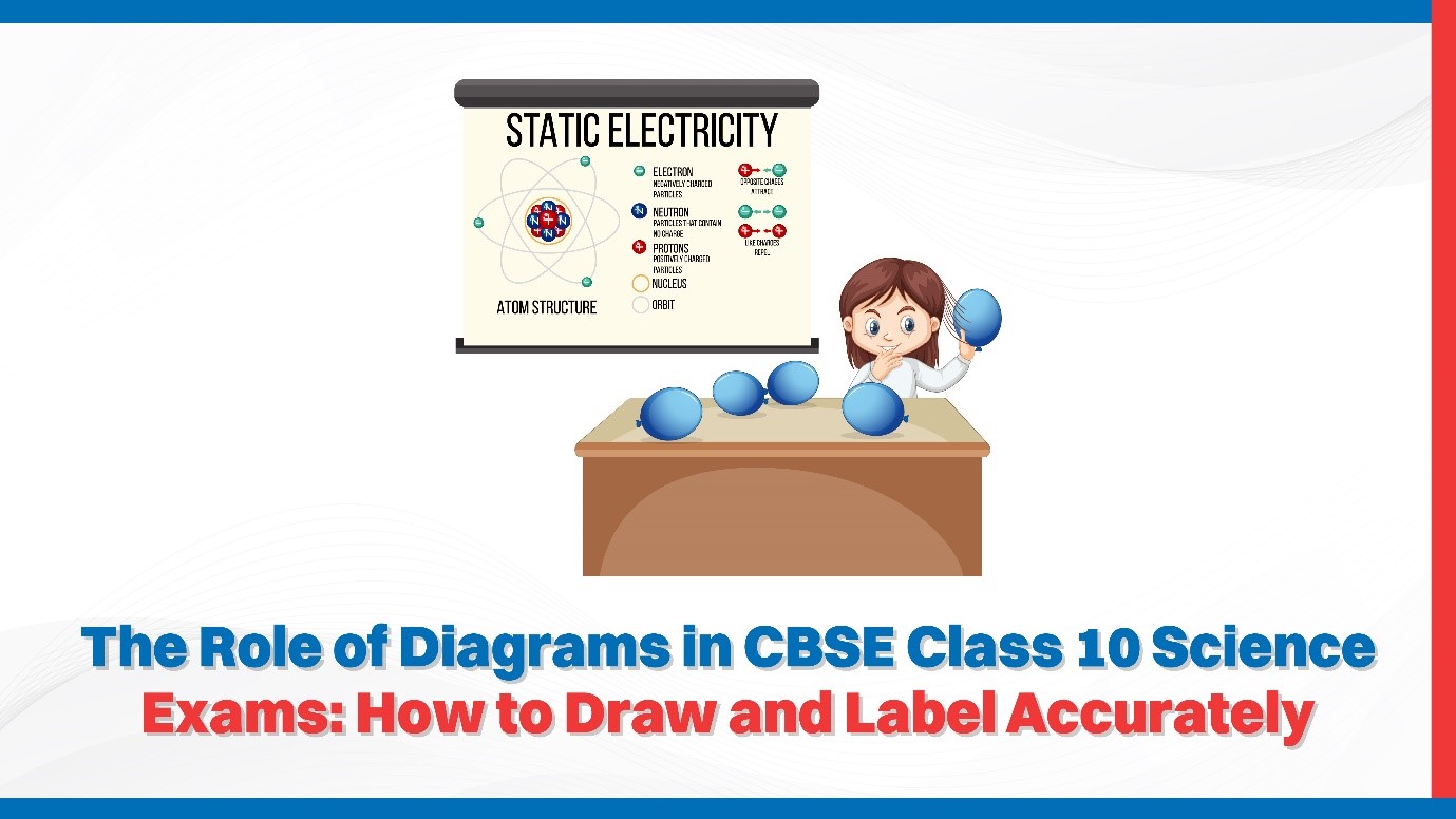 The Role of Diagrams in CBSE Class 10 Science Exams How to Draw and Label Accurately.jpg